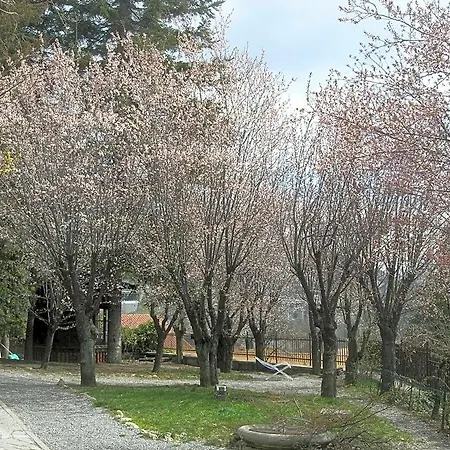 Apartament Linda *