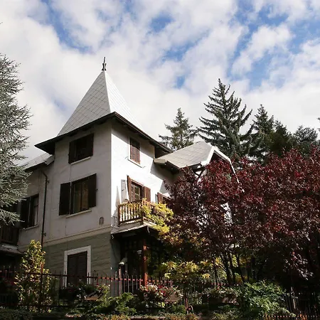 Linda バルドネッキア